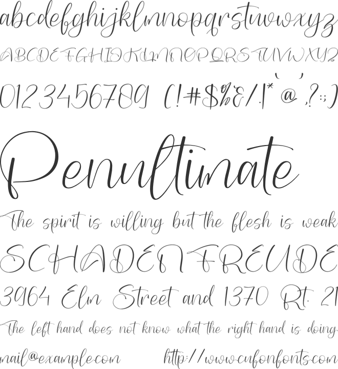 Brigatta Franky font preview