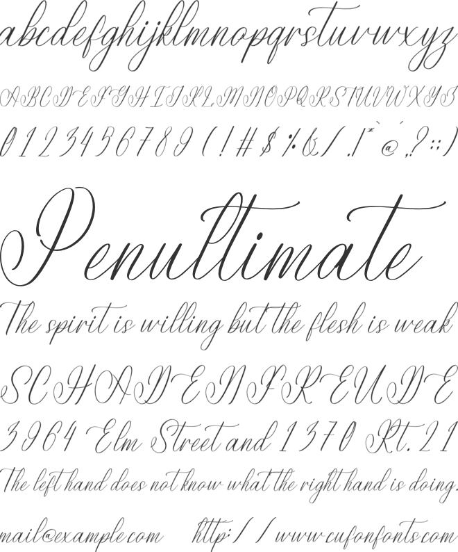 Herbina Yolanda font preview