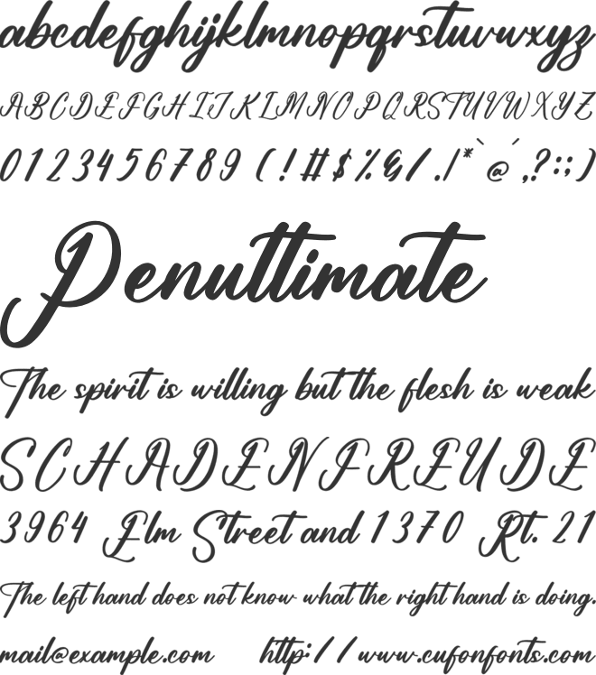 Antholia Riechgan font preview