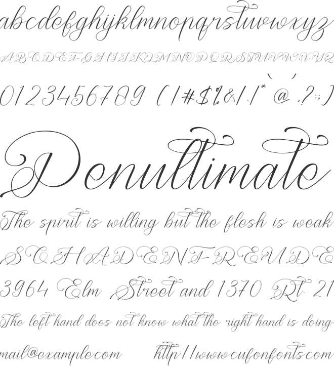 Rethina Shirlie font preview