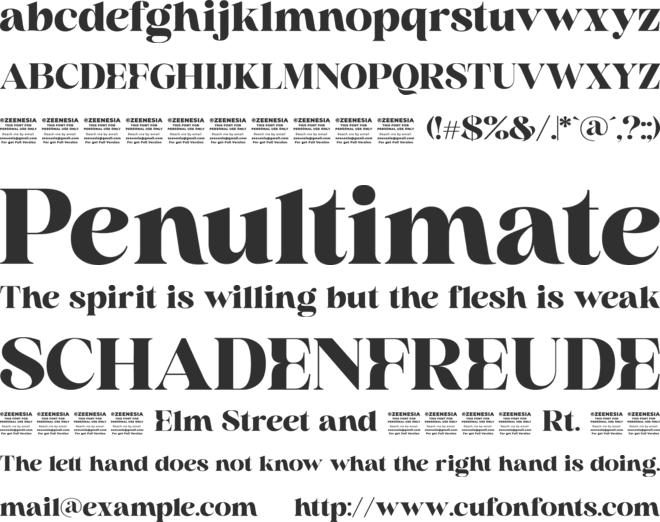 Rocline Personal Use Only font preview