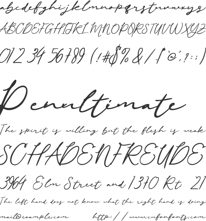 Befira font preview