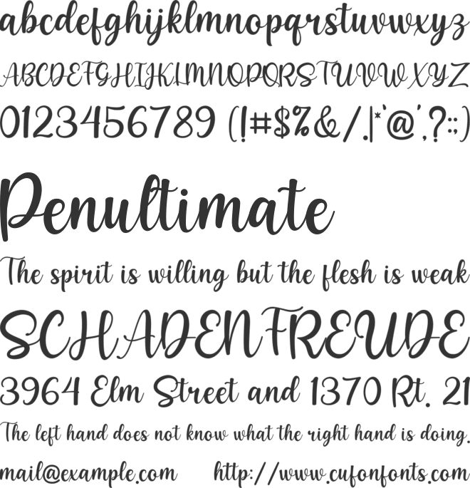 Vitallisa font preview