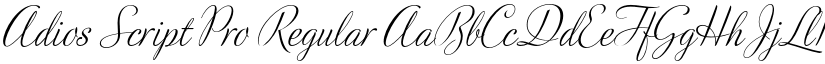 Adios Script Pro font download