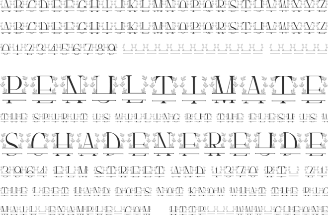 Leaves Wreath Monogram Line font preview
