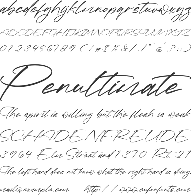 Terrycotta font preview