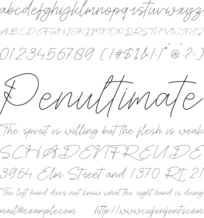 Fasthine Brooks font preview