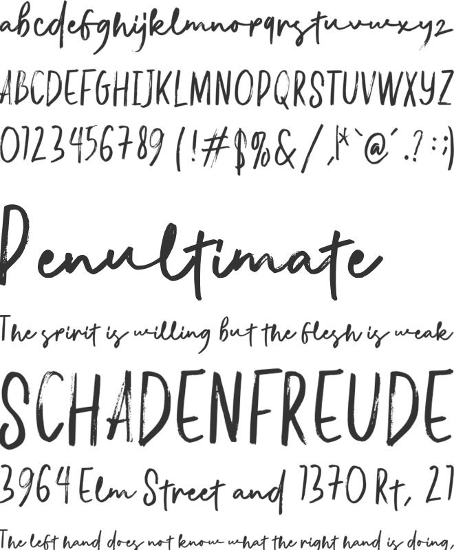 Radifan font preview