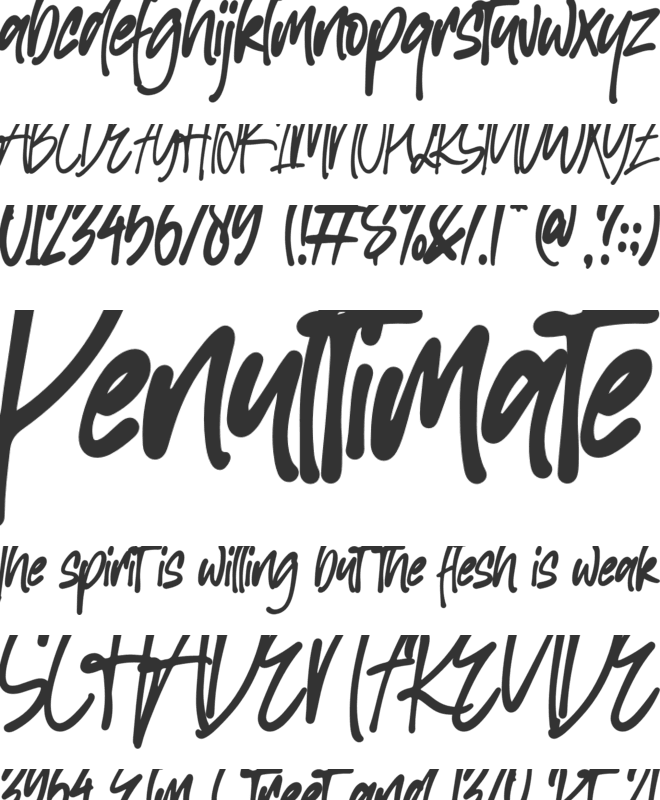 Houston Rockets font preview