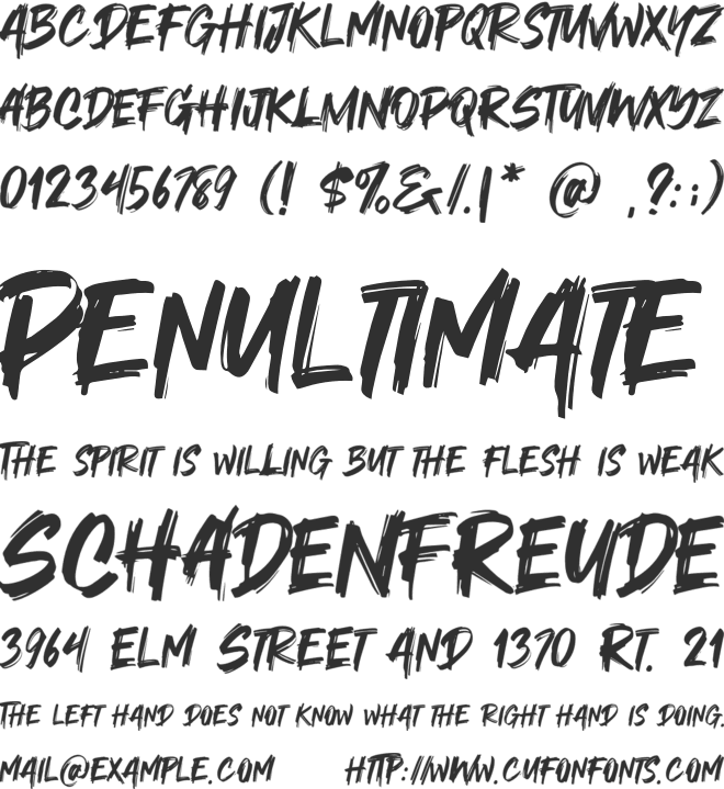 Orca Role font preview