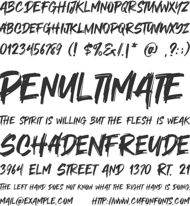 Orca Role font preview
