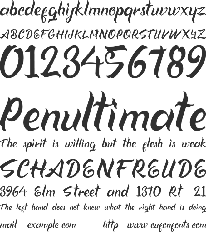 Xavia Script font preview