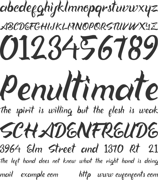 Xavia Script font preview