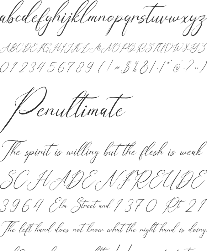 Geraldyn Brushko font preview