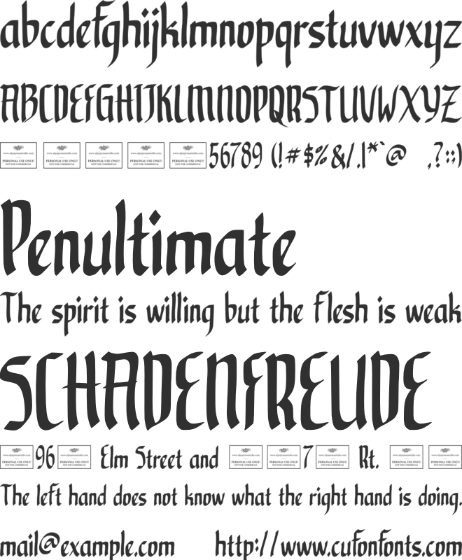 Nocturnal Free font preview