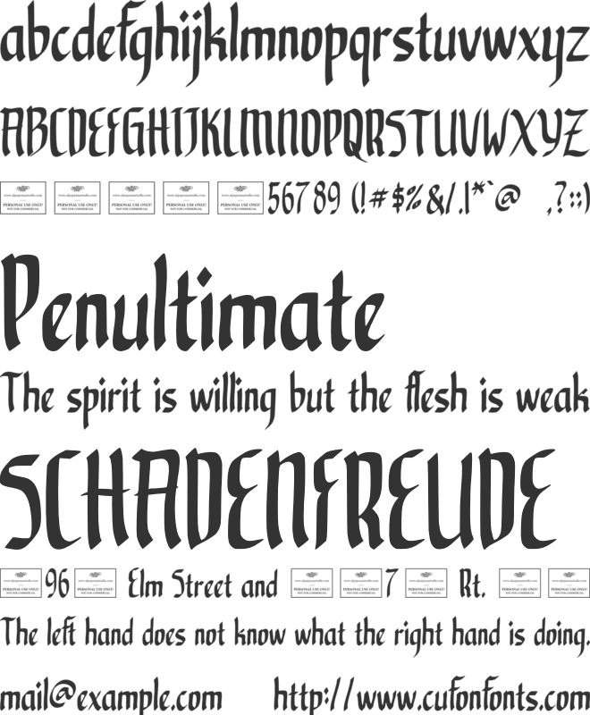Nocturnal Free font preview