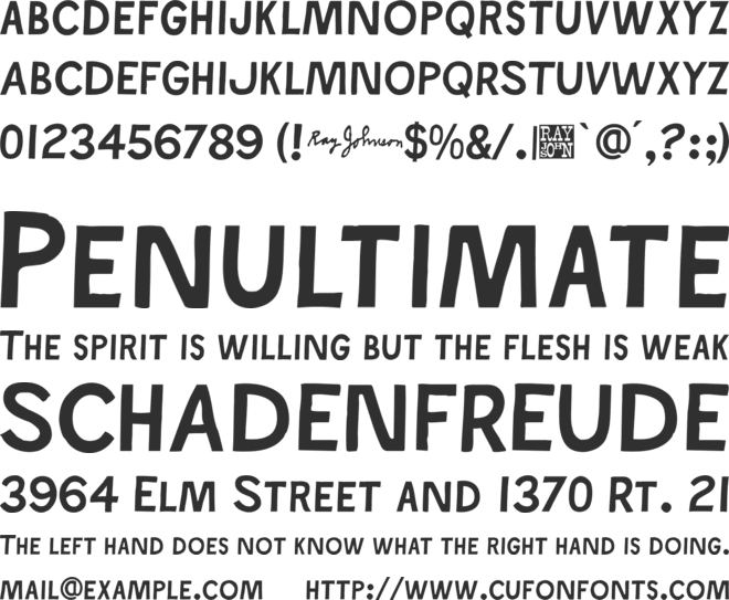 Ray Johnson font preview