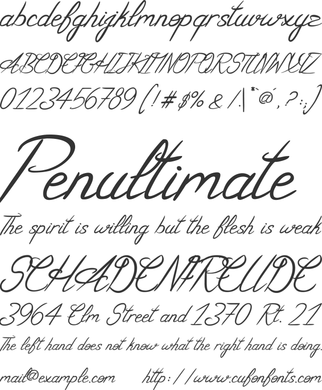 Le Domaine Auriane font preview