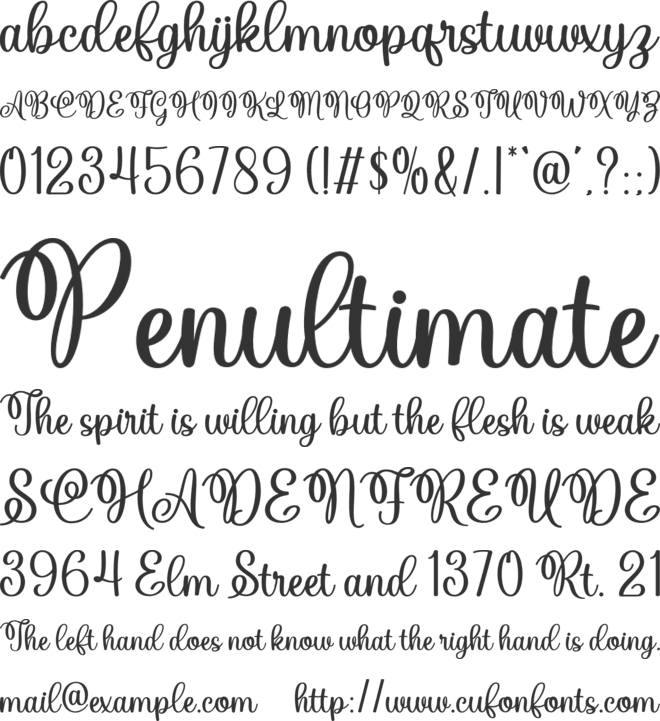 Country Last Night font preview