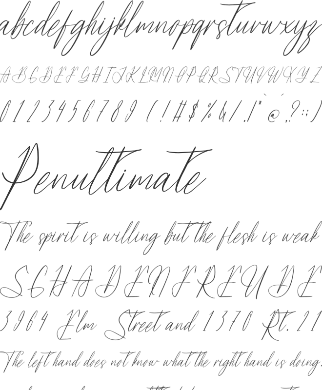 Verdagtis font preview