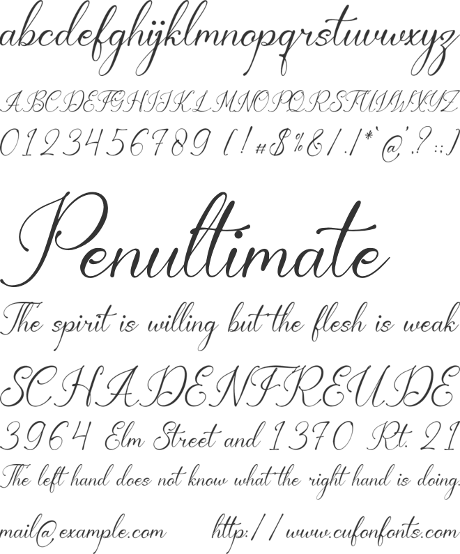 Berthaleya Ferbonitze font preview