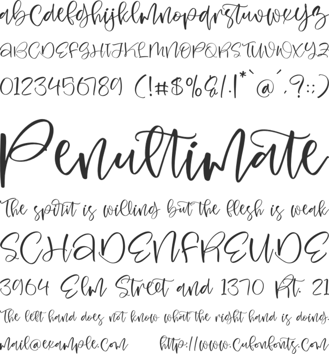 Seraphy Blossom font preview