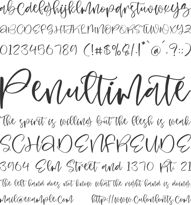 Seraphy Blossom font preview
