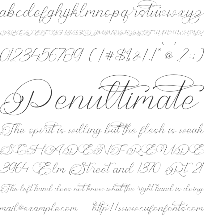 Cheline Galina font preview