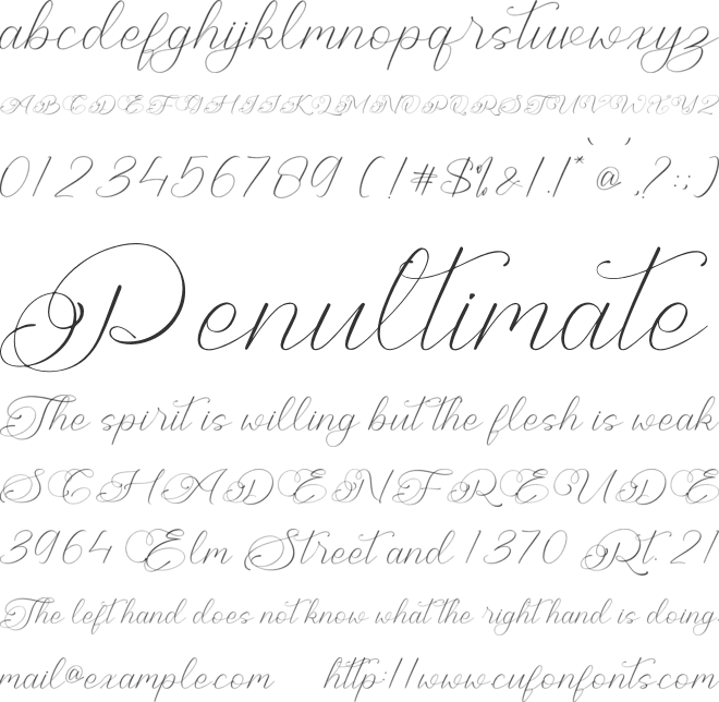 Cheline Galina font preview