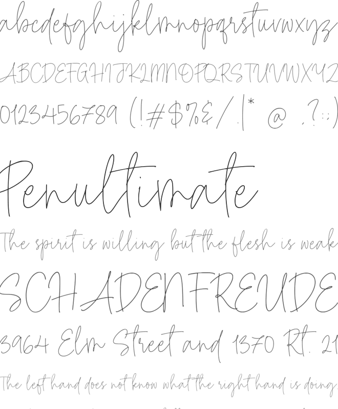 Benedict Hamer font preview