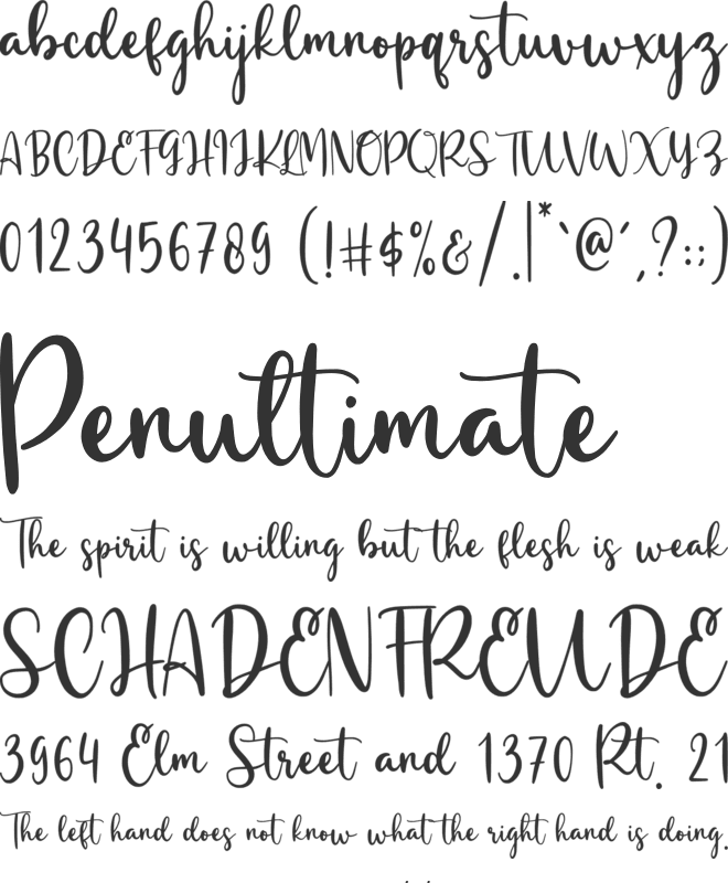 Bashinta font preview