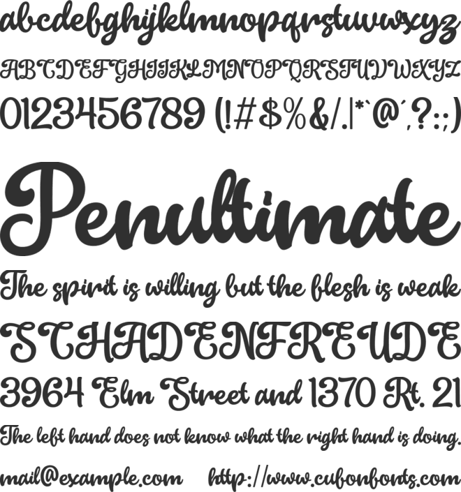 Ladywish font preview