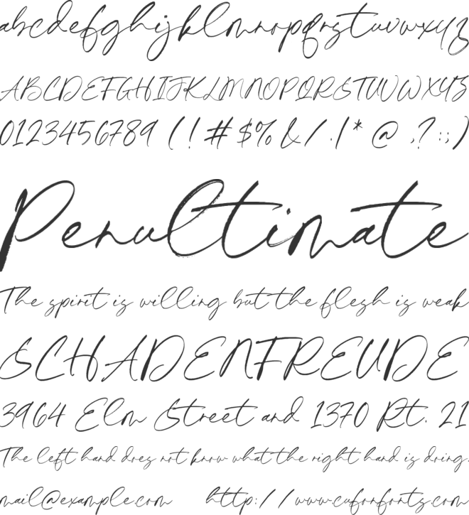 Merlinda Signature font preview