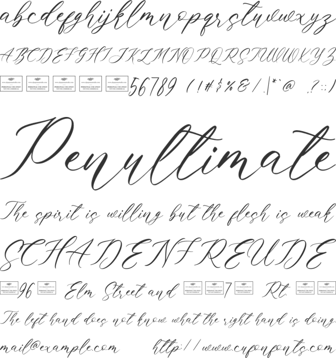 Clandestine Free font preview