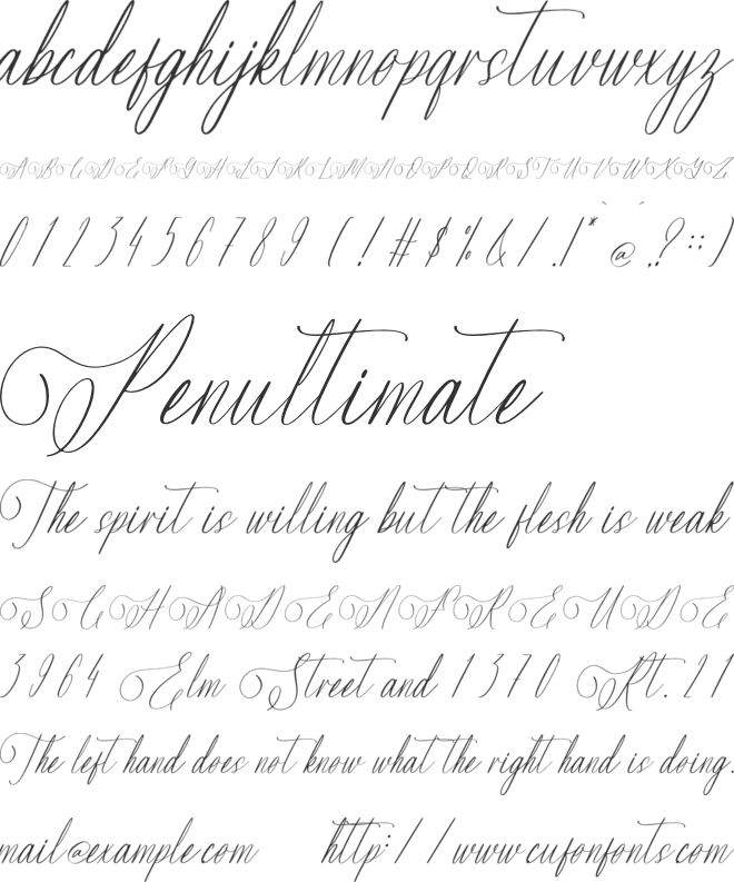 Savanah Glamour font preview