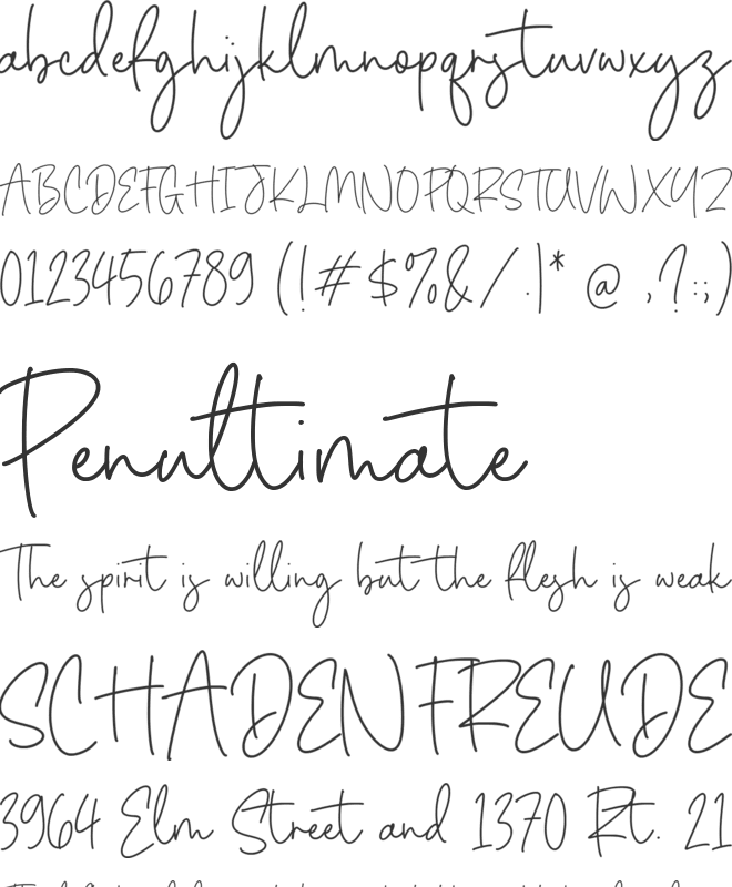 Daniela Paradise font preview