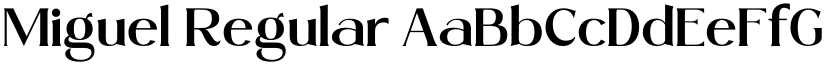Miguel Regular font