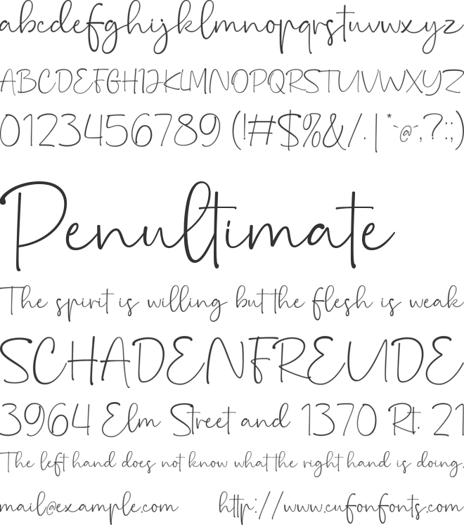 Natalie Photograph font preview
