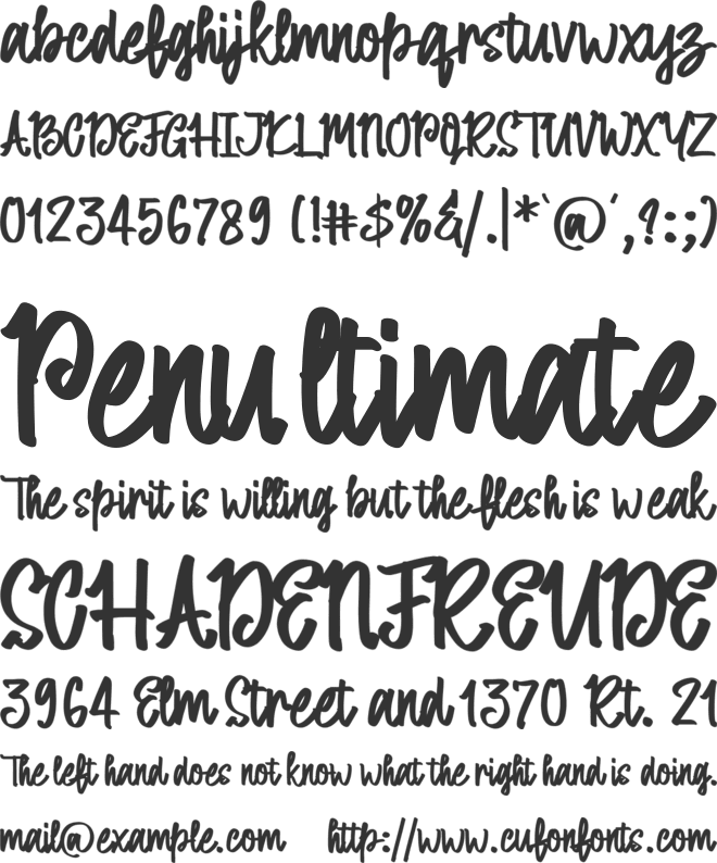 Alicia Grace font preview