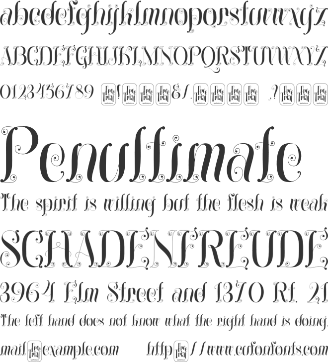 The Knicks Fly font preview