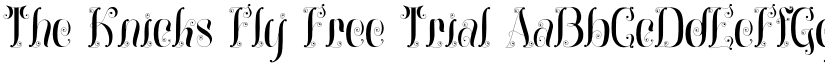 The Knicks Fly Free Trial font