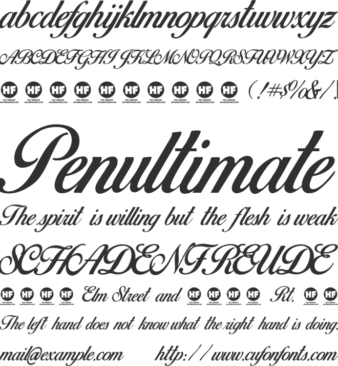 Birds of Paradise  Personal use font preview