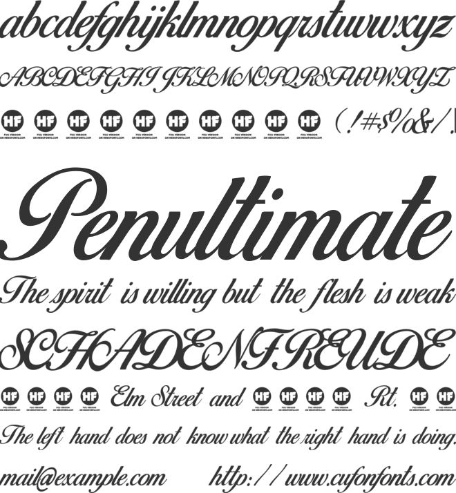 Birds Of Paradise Personal Use Font Download Free For Desktop Webfont