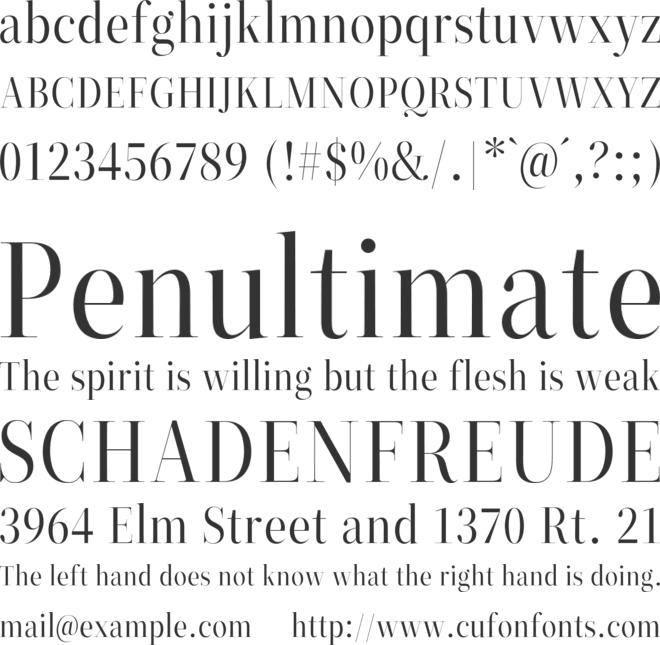 ZT Neue Ralewe font preview