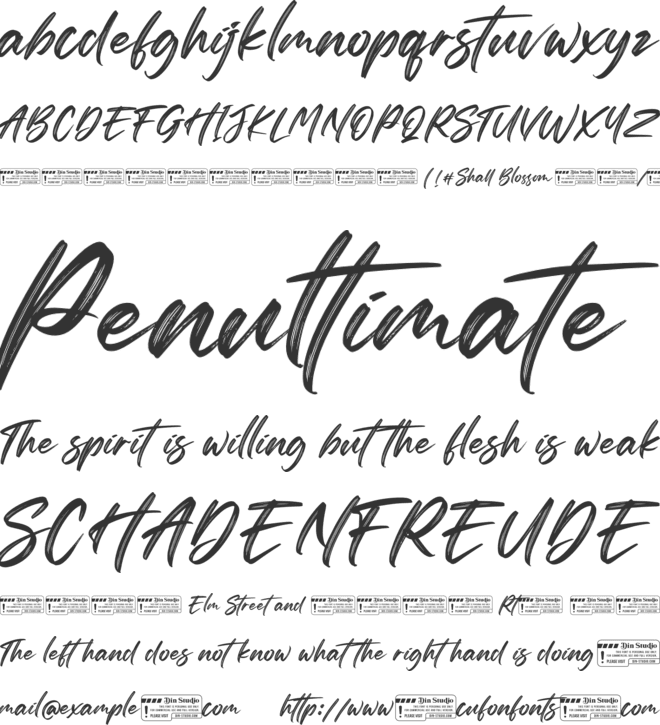 Shall Blossom Personal Use font preview