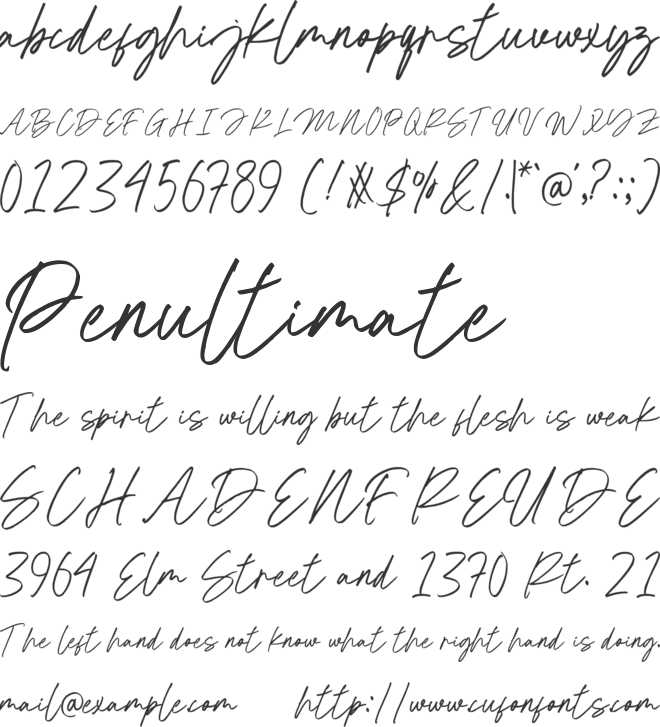 Disabani font preview