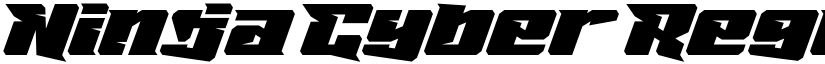 Ninja Cyber Regular font