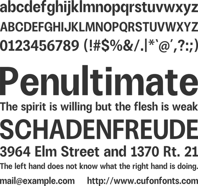 ZT Talk font preview