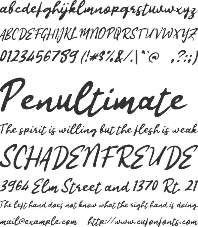 L Latisya Humaira font preview
