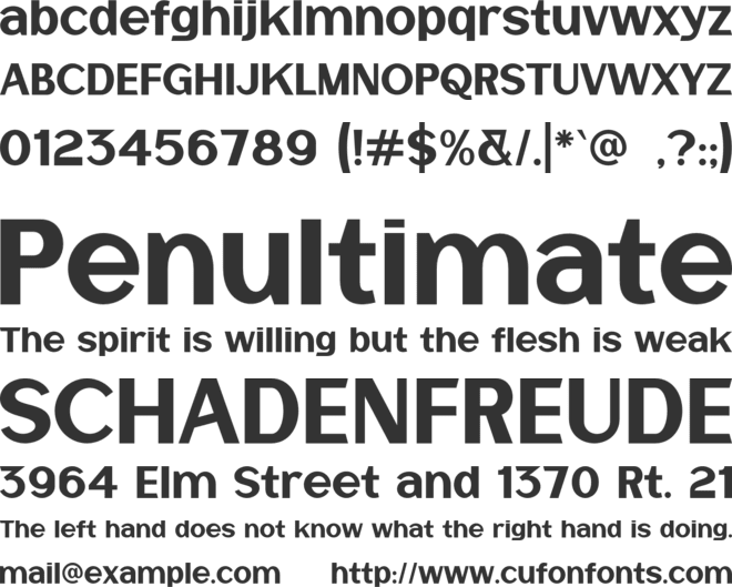 VANCHES WILD font preview